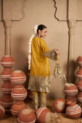 Tasuvure X MW Aaina Ada Farshi Set - Sunheri