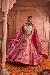 Tasuvure Banarasi Begum Ghaghra And Chunni - Rani Pink