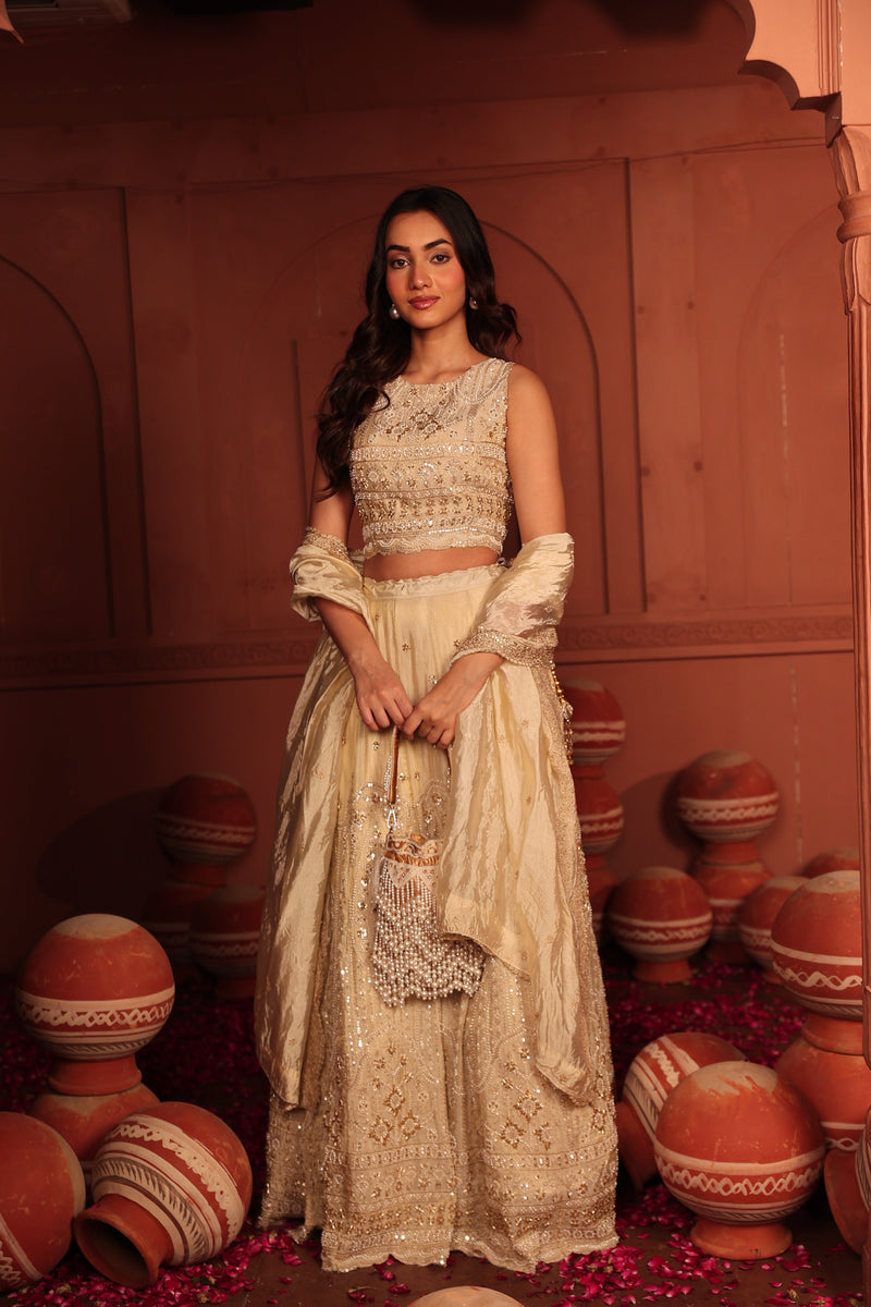 Tasuvure X MW  Inaaya Cutdana Embroidered Lehenga Set with Dupatta - Ivory