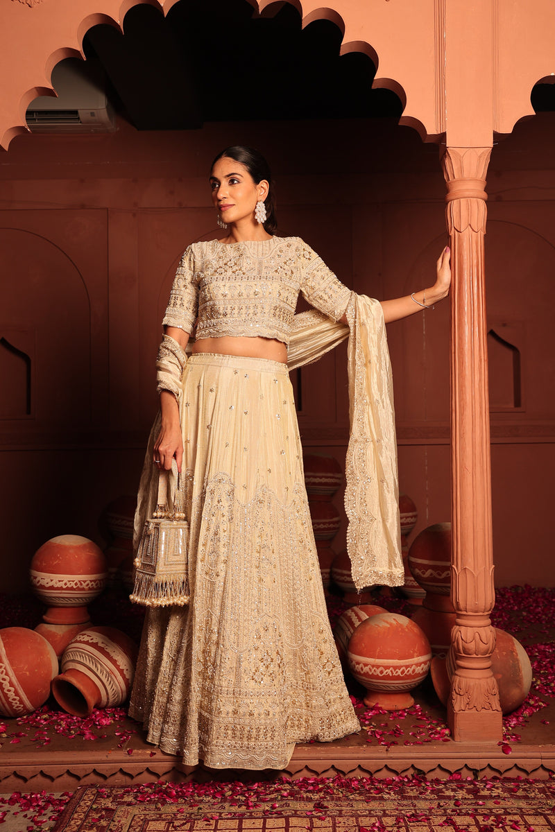 Tasuvure X MW  Inaaya Cutdana Embroidered Lehenga Set with Sleeves and Dupatta - Ivory