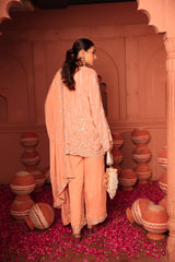 Tasuvure X MW  Inaaya Embroidered Sharara Set - Pink