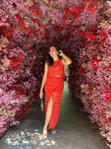 Tasuvure X MW Red Lace Skirt Set